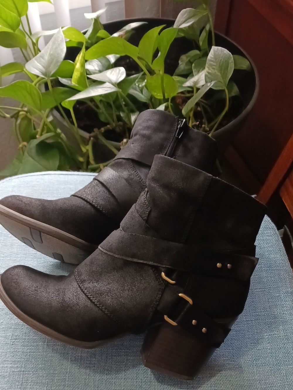 Fergalicious- Women’s Black Ankle Boots - Stylish Buckle Detail